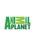 Animal Planet